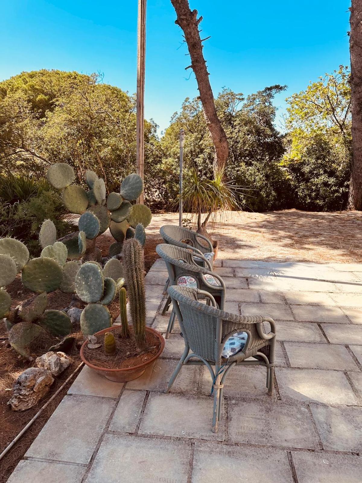 Casa Vacanze Capurre "Trulli E Pajare A Due Passi Dal Pizzo" Gallipoli Eksteriør billede
